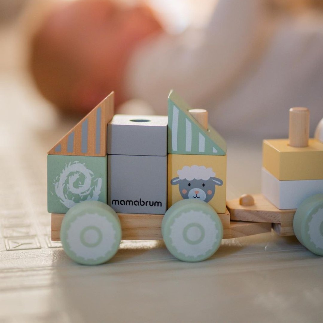 Koka vilciens ar blokiem zēnam - Ferma