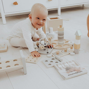 Montessori izglītojoša kaste maziem bērniem - 6 rotaļlietas