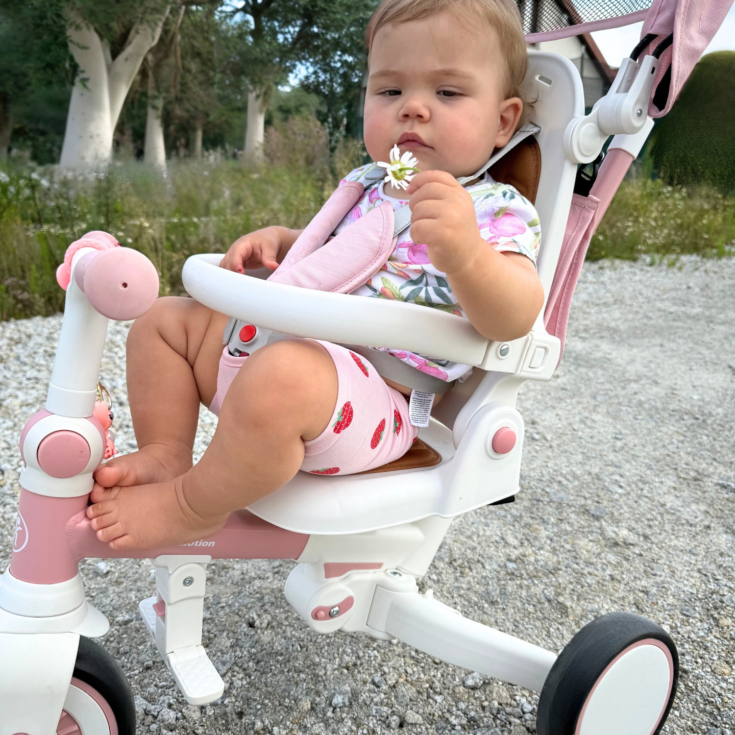 8in1 daudzfunkcionāls trīsritenis TOBI FOREST - rozā krāsā