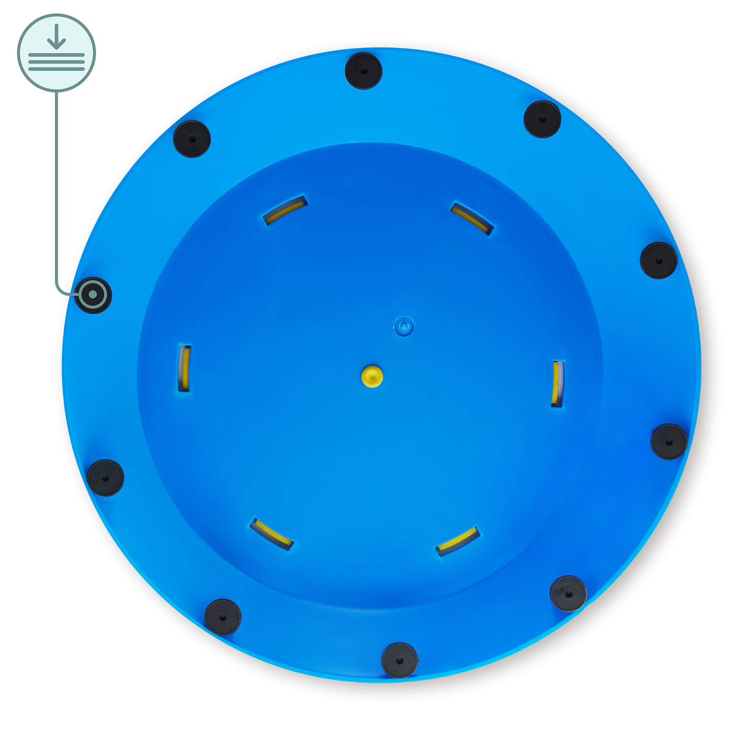 Sensorā taka bērniem - Krāsains bruņurupucis