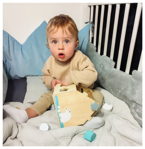 Sorteris - izglītojoša koka māja ar klucīšiem