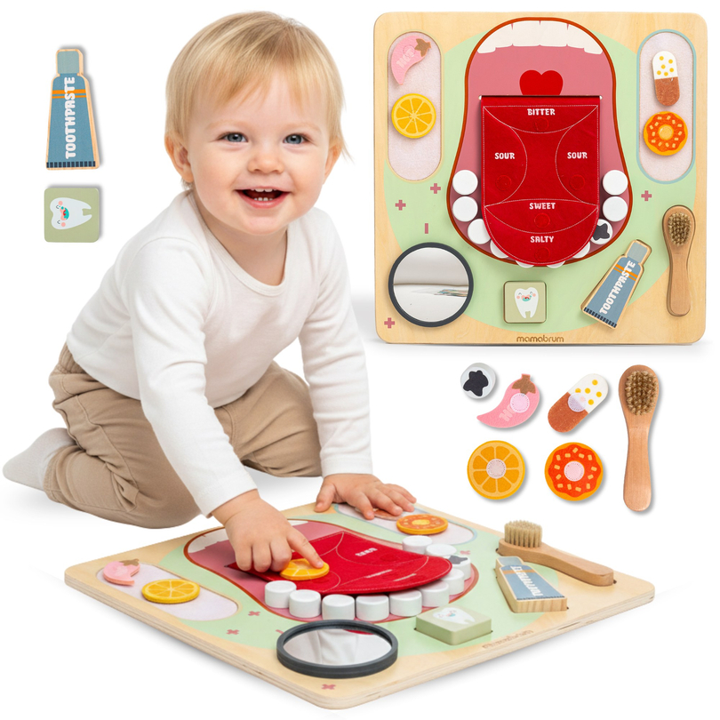 Koka Montessori mācību tāfele Mazais zobārsts - zobu birste, zobu pasta, izņemami zobi, spogulis, ēdiens, mācību garšas