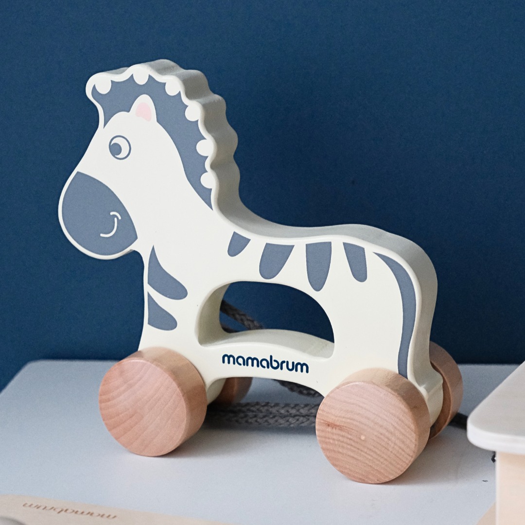 Montessori rotaļlietu komplekts bērnam no 19 līdz 24 mēnešiem