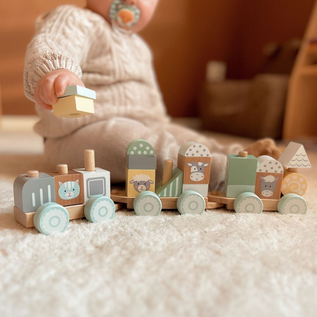 Koka vilciens ar blokiem zēnam - Ferma