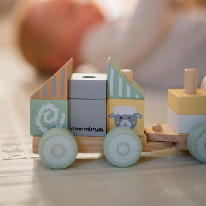 Koka vilciens ar blokiem zēnam - Ferma